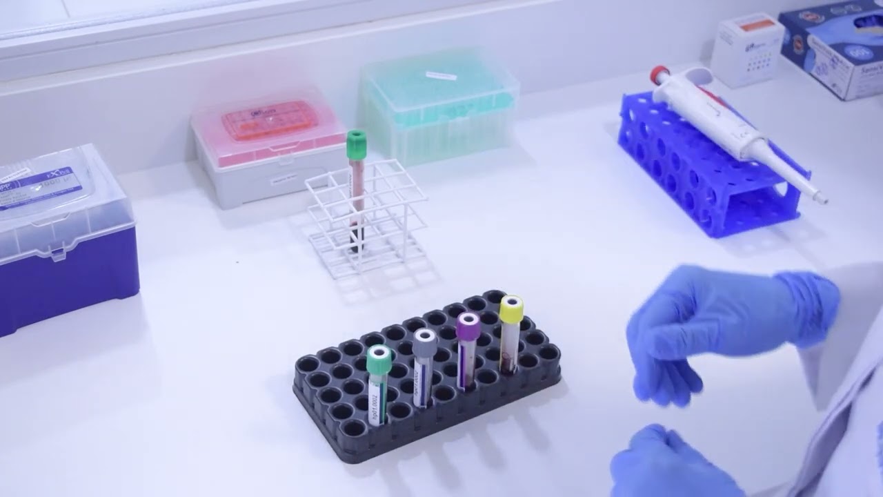 Técnica para realização do ensaio QuantiFERON-TB Gold Plus