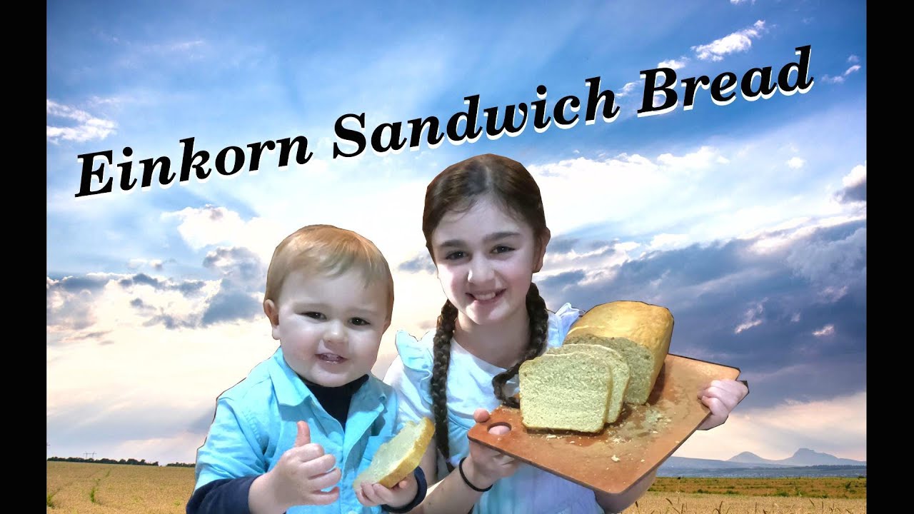 How to Make Delicious Einkorn  Country Bread-In the Kitchen with Kaitlyn