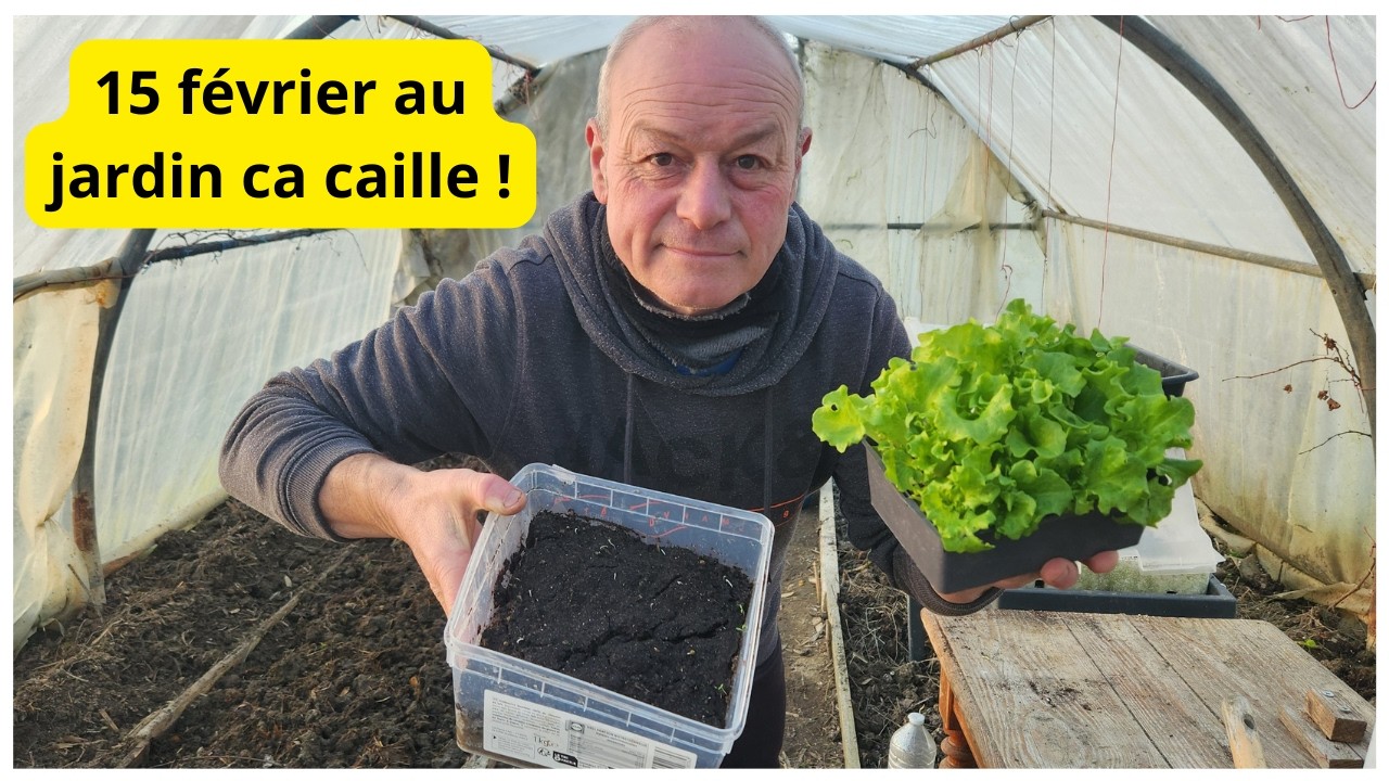 15 février  au jardin  de Philippe  1 degré  , mes  conseils ?