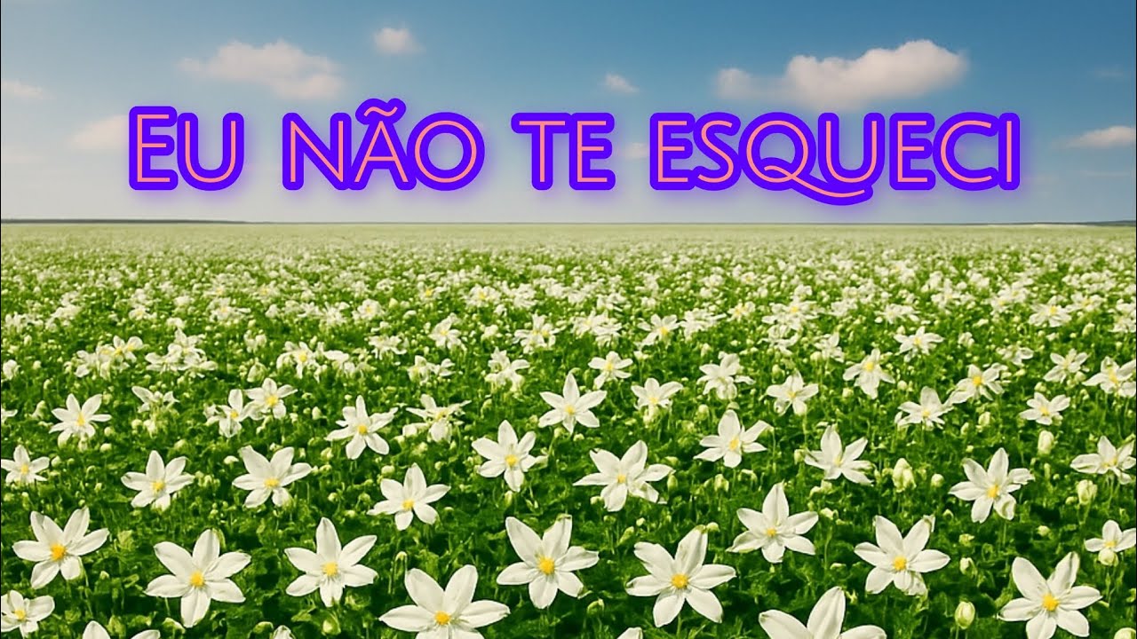 Eu não te esqueci 
