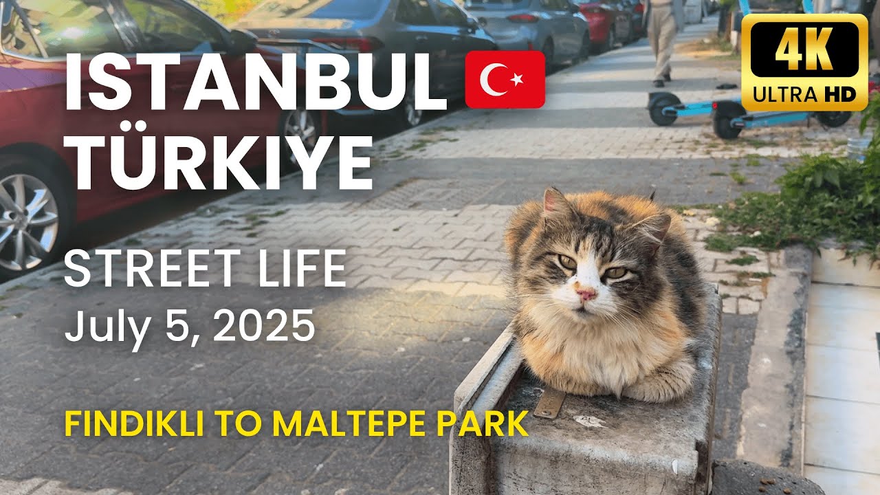 Ep.22 – Fındıklı to Maltepe 🇹🇷 | Part 1 | July 5, 2025 | Local streets & cats | Istanbul, Türkiye