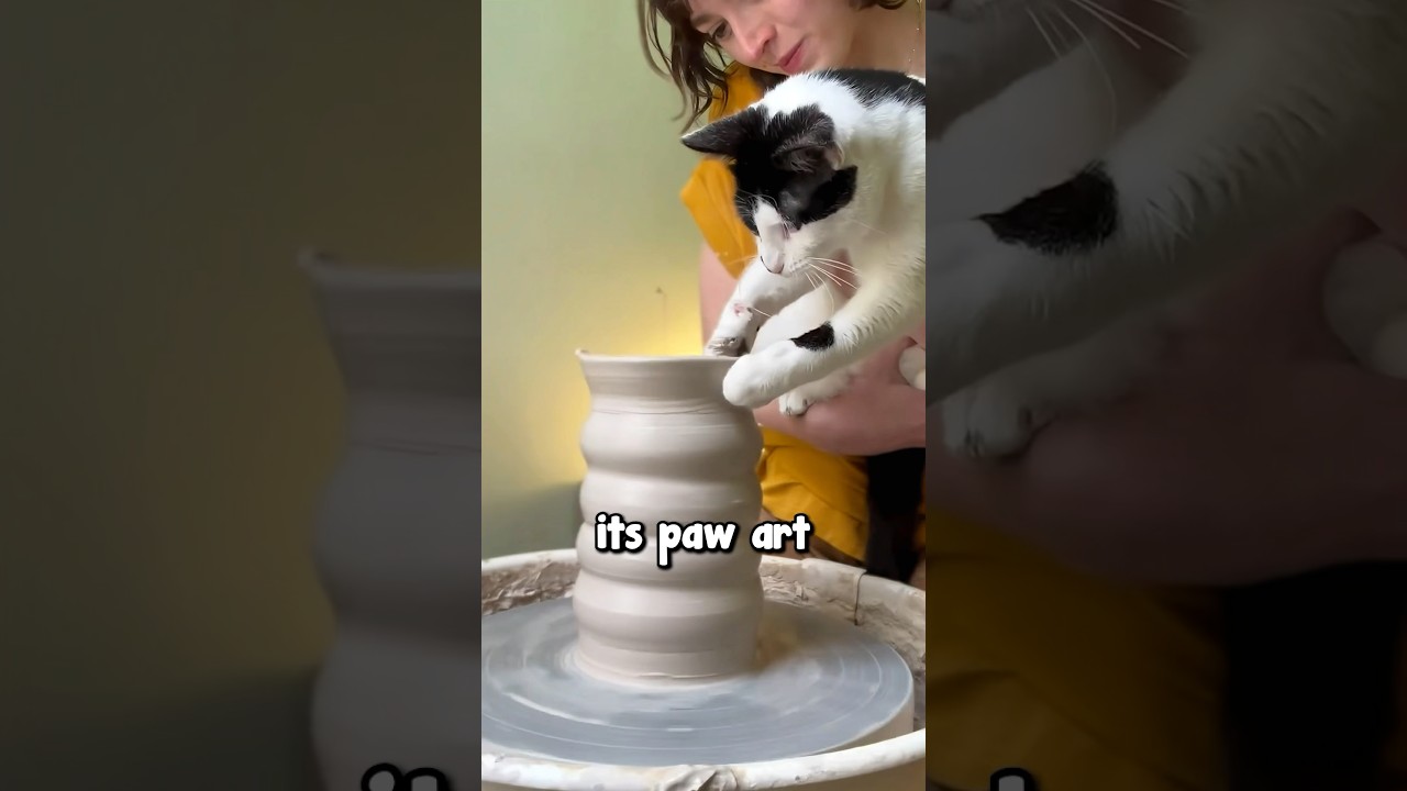 This Cat Makes The Best Clay Pots 😱❤️