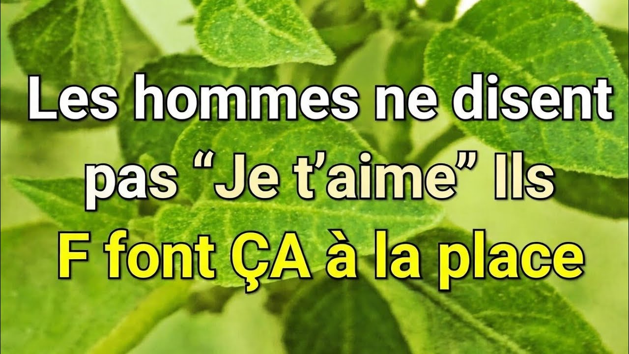 Les Hommes ne Disent Pas « Je T’Aime » — Ils Font Cela à la Place | Psychologie des Relations