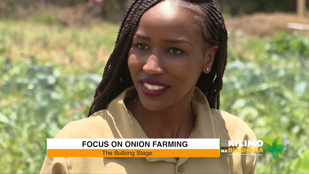 Kilimo Na Biashara | Onion Farming