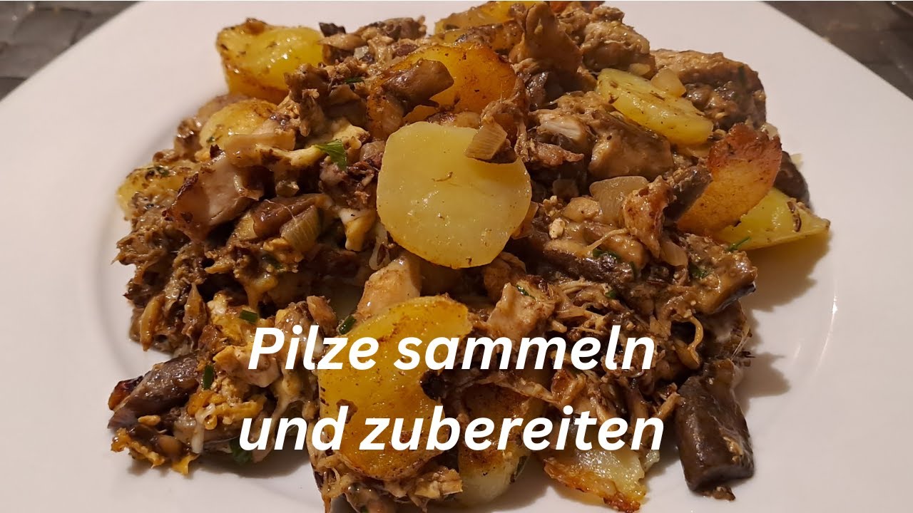 Pilze sammeln und zubereiten