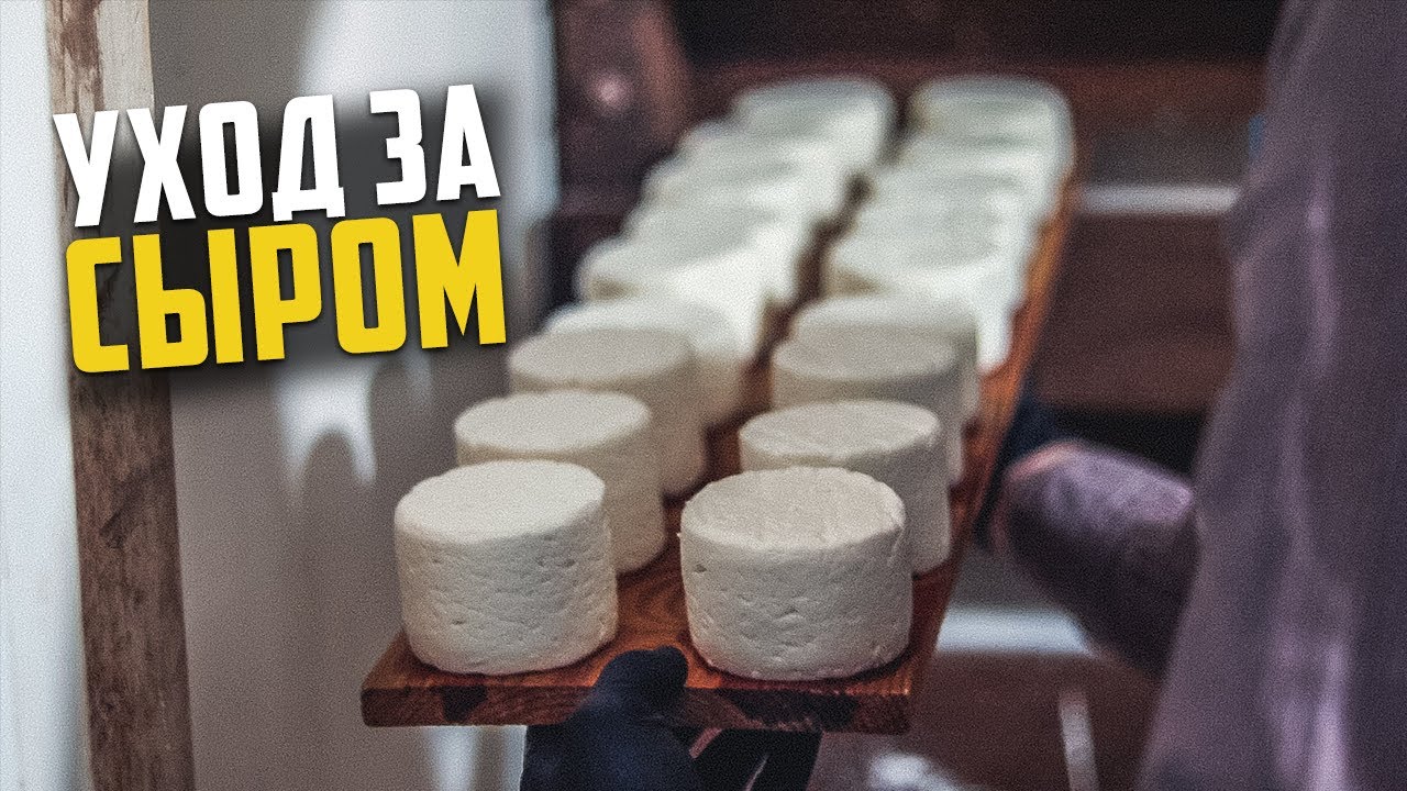 Как я ухаживаю за сыром | Аффинаж сыра