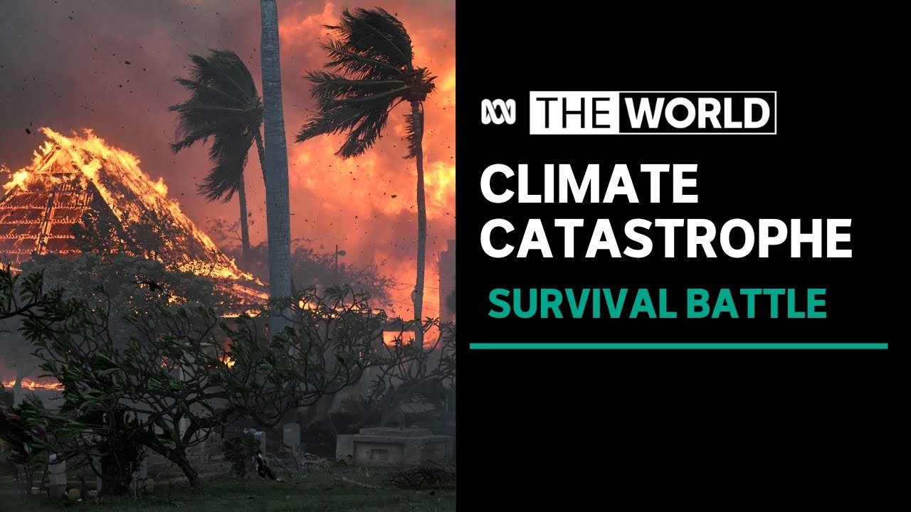 Floods, fires and natural disasters | The World in 2023