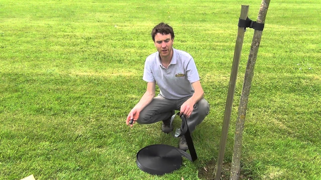 Tree Strapping Belt