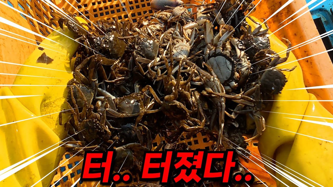 이게 지금 나오는 게 맞나요? 대군이 이동하듯이 삼각망에 들어왔습니다!ㄷㄷ