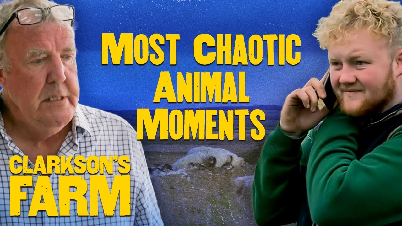 Clarkson's Farm Most Chaotic Animal Moments | Clarkson's Farm