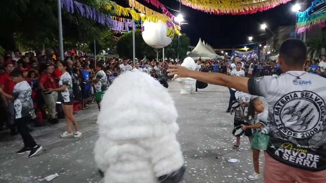 URSO DA MATA DESFILO NO EVENTO DE INGA(15/02/2026)