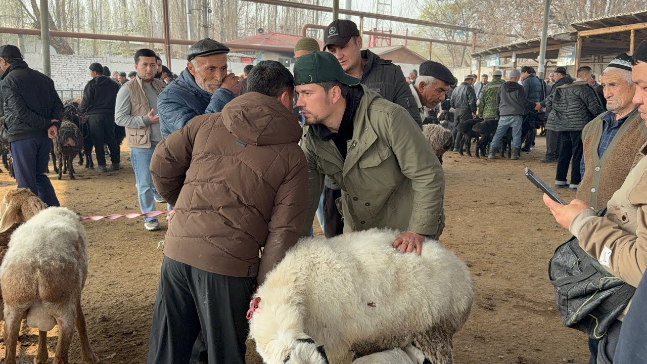 QUQON QUY BOZORI CHORSHANBA ARZON BOZOR 18 03 2026 