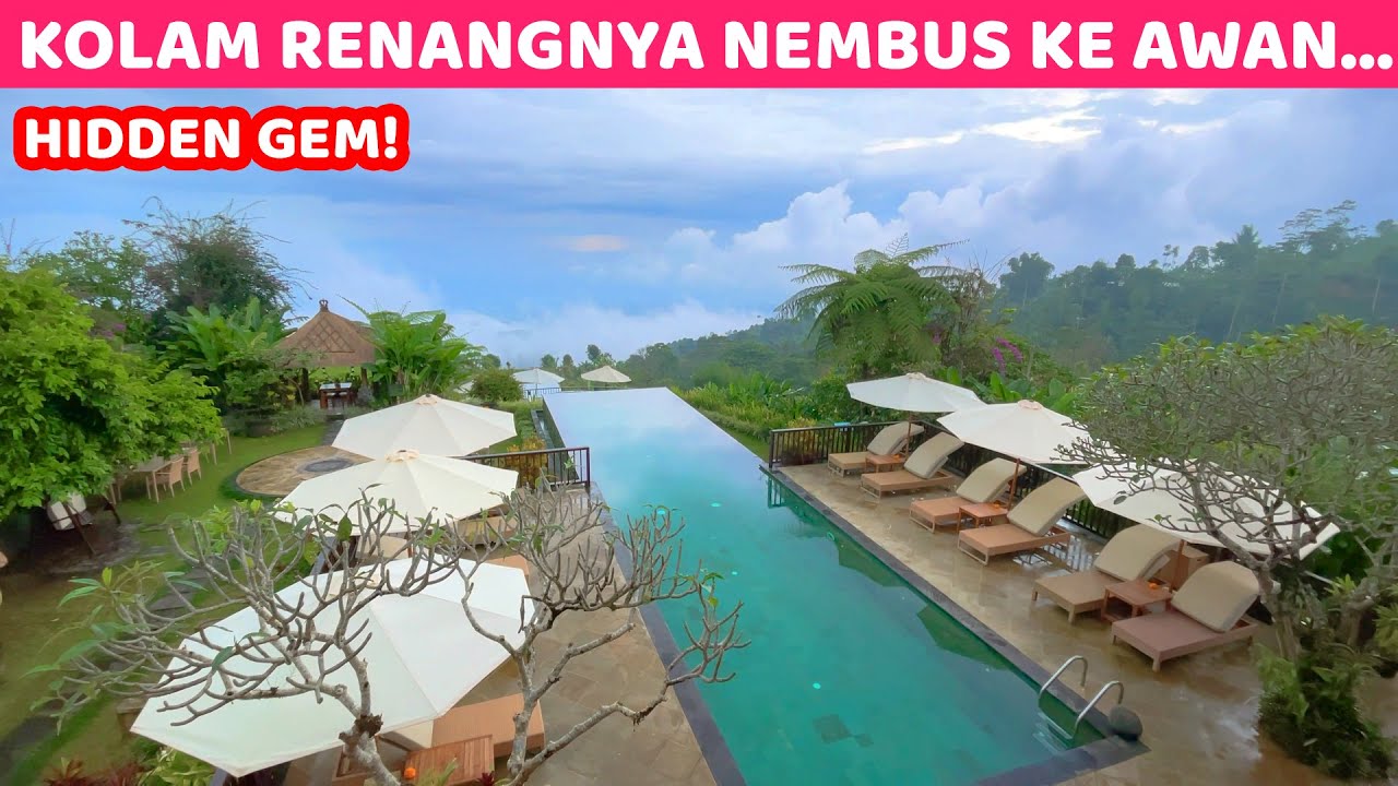 HIDDEN GEM! POOL DI ATAS AWAN... | Munduk Moding Plantation Resort | Hotel Bagus di Bali