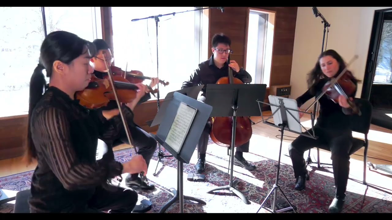 482673, Beethoven, String Quartet No. 8 Op. 59 No. 2, Mvt. I: Allegro