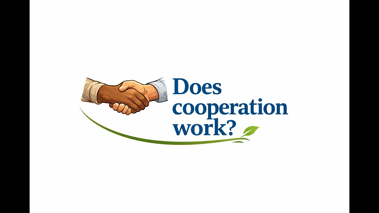 What is development cooperation?