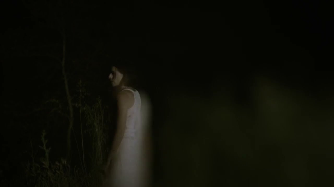 PVRIS - HEADLIGHTS (VISUALIZER)