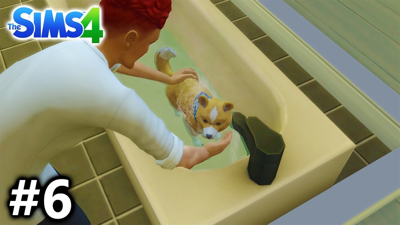 Sims 4: #6 KAAN BADET TED & LERNT KITTEN KENNEN! ZUCKERSÜß! Spiel mit mir Let's Play Deutsch