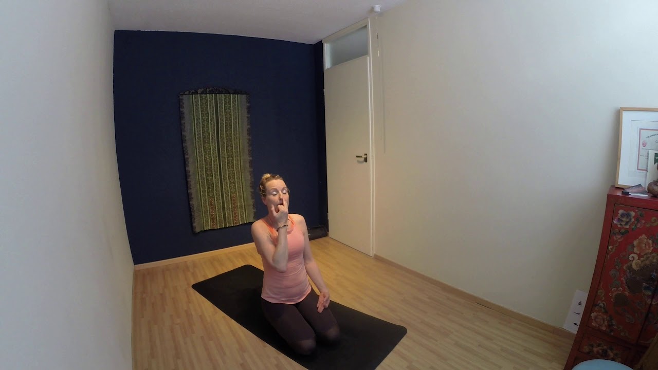 Pranayama Nadisuddhi