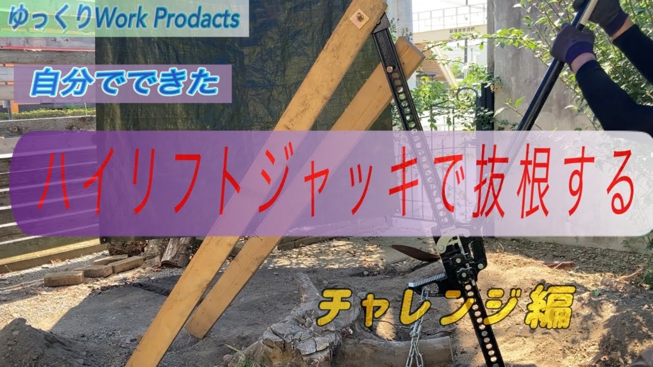 [DIY]切り株の抜根　自分でできた　大きい切り株にチャレンジ編
