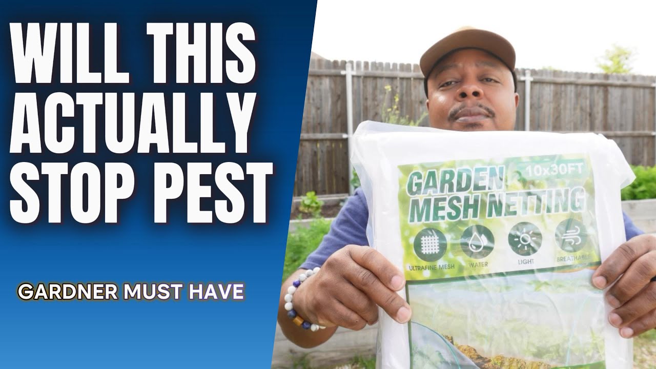Garden Mesh Netting Install To Help Protect From Pest In Raised Beds