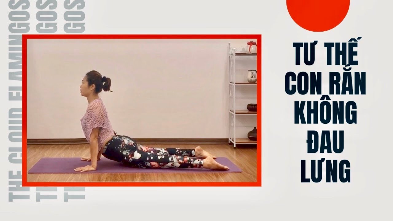 ❤️ Yoga Cơ Bản/ Tư Thế Con Rắn Không Đau Vai, Đau Lưng/ snake pose/Phạm Hằng Yoga Trị Liệu