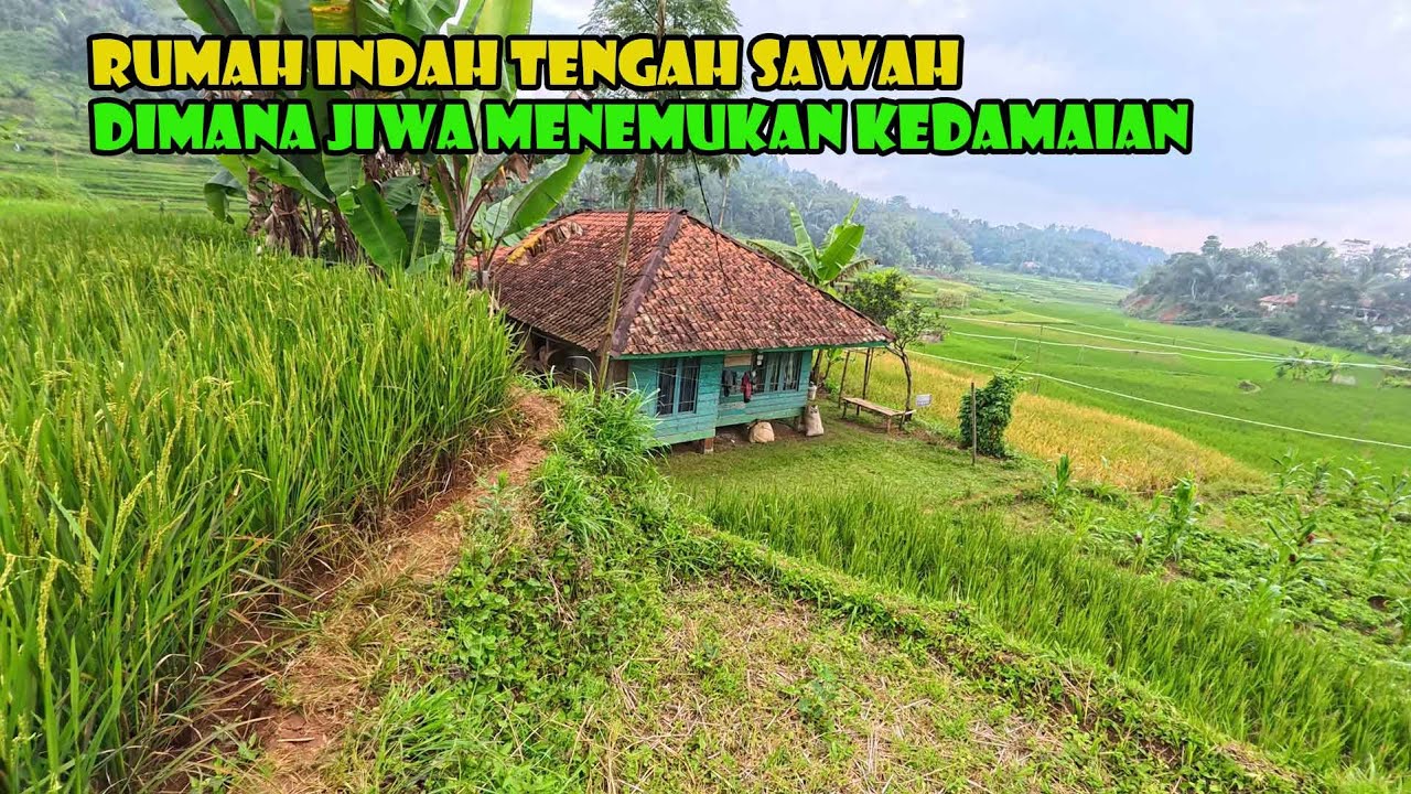 Kampung Idaman Banget..Semua Rumah Punya Sudut Pandang Yang Indah..
