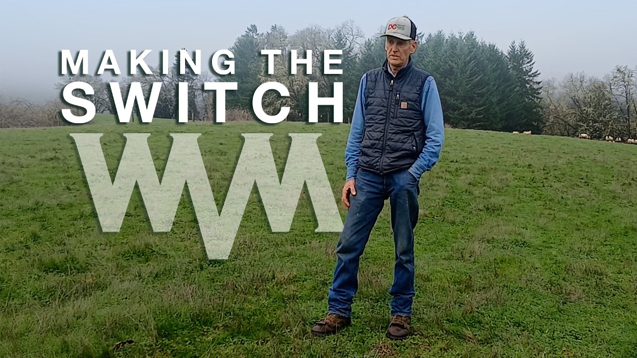 How Sheep Producers Market Lambs Online