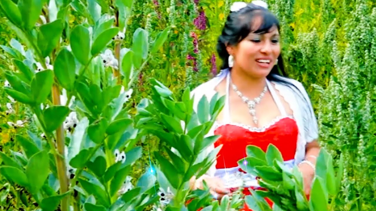 EL SABOR DE LA JARANA DEL PUEBLO CON MALVAFLRCITA DE ANDAHUAYLAS CIRILO MARCAS Y PUCACHA DE UMAMARCA