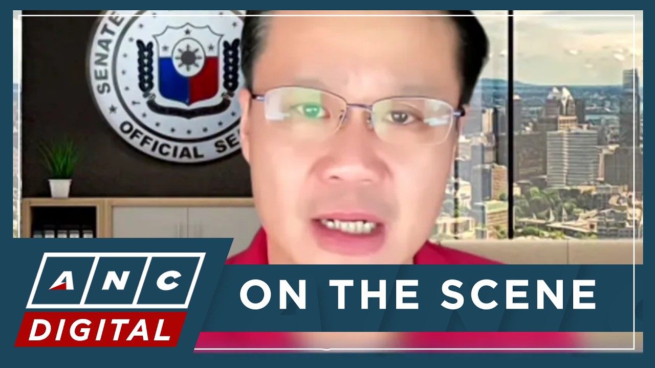 WATCH: Senator Gatchalian stands by legality of election as SP Pro Tempore | ANC