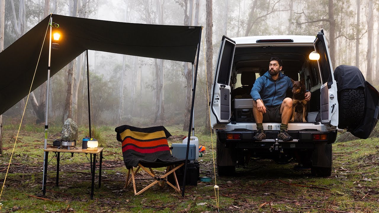 Peaceful Solo Camping in a Misty Winter Forest [Sleeping in my Landcruiser, Relaxing ASMR]