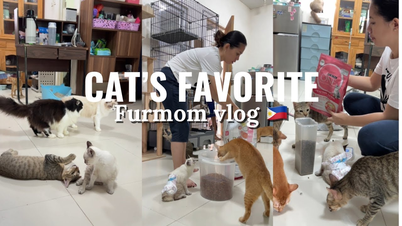 NAGKA STOCK NA DIN NG MONELLO CAT FOOD 😻| FUR MOM VLOG 🇵🇭