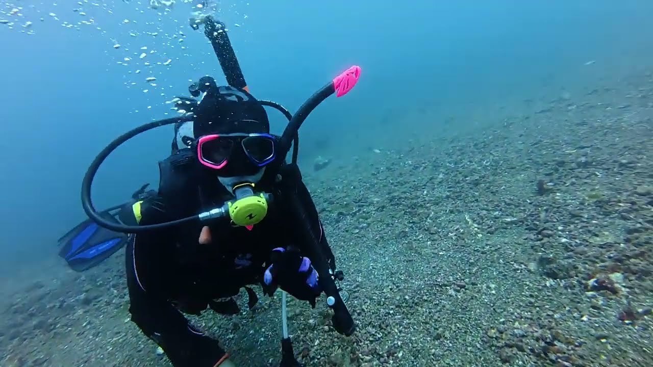 Dive Story in Lembeh, Day 2 - 15 Februari 2026 (Bagian 2)