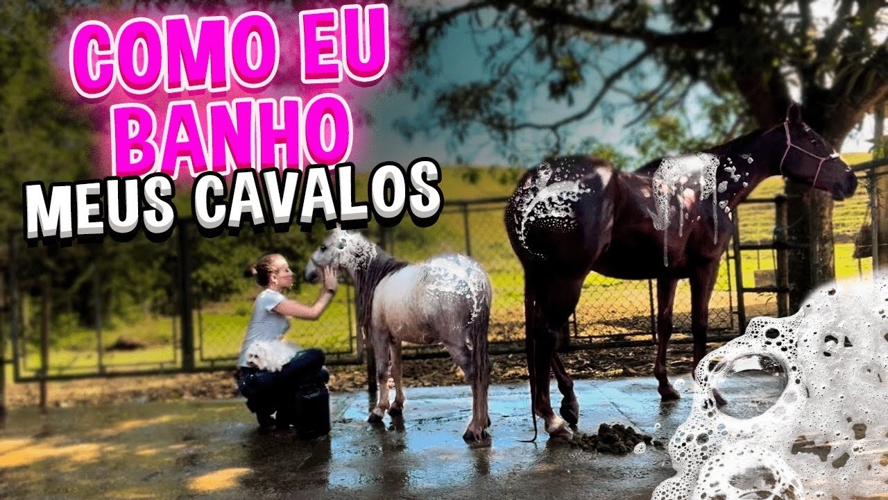 DEIXEI MEUS CAVALOS BRILHANDO!!