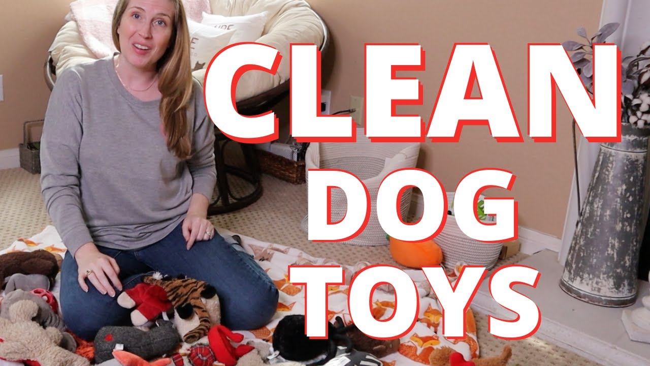 How To Clean Your Dogs Toys