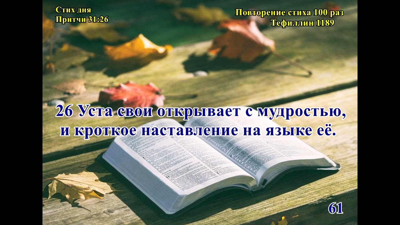 пр 31,26 100 раз