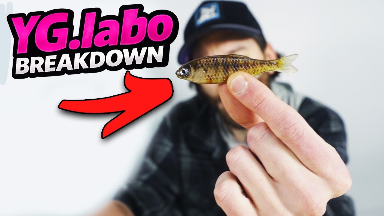 INSANE Realistic Japan Soft Plastics! | YG.labo