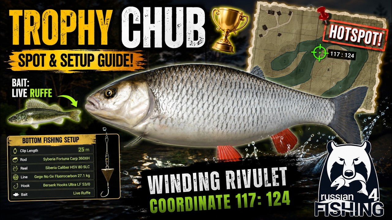 TROPHY Chub Spot! Best Ruffe Bait Setup | Winding Rivulet | Russian Fishing 4