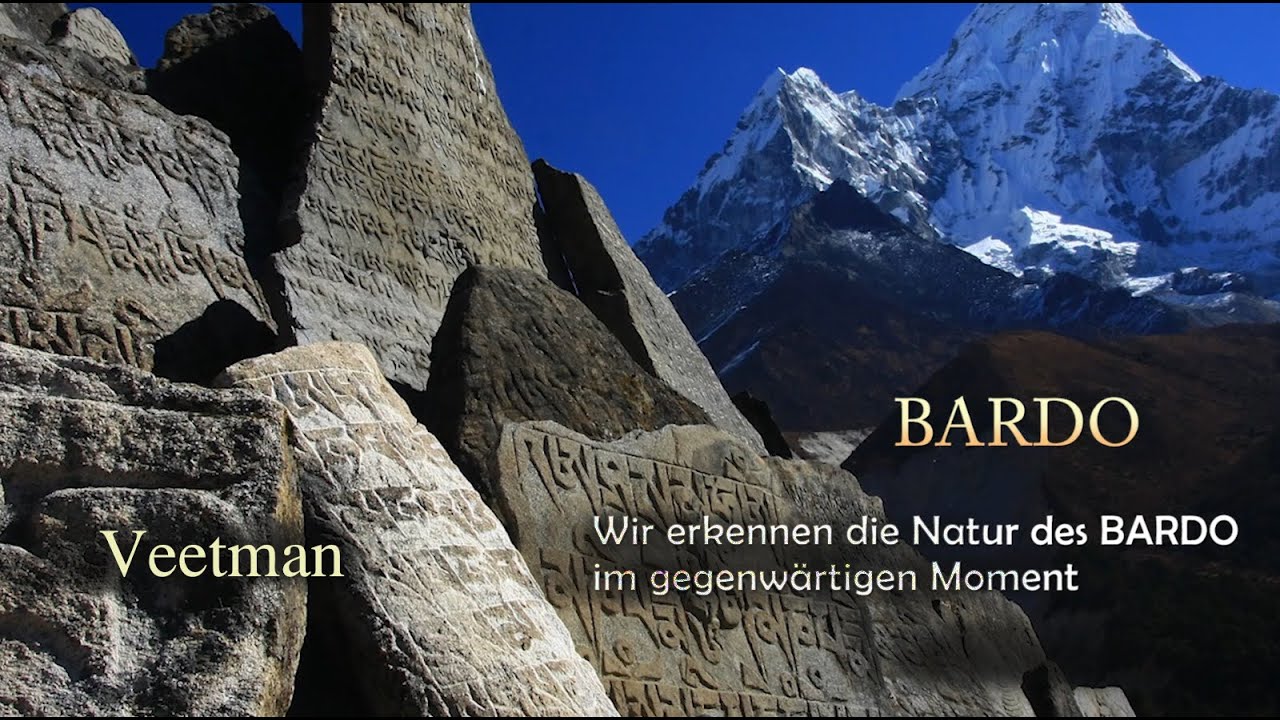 Die Natur des BARDO in der Gegenwart erkennen