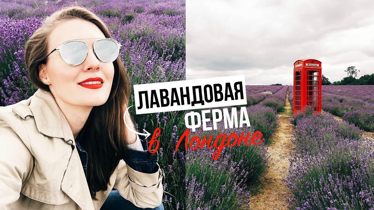 ЛАВАНДОВАЯ ФЕРМА // ШОППИНГ С ДЖЕЙМСОМ // РЕЦЕПТ ПЕЧЕНЬЯ