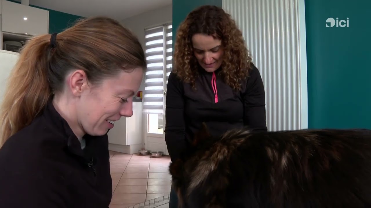 Portrait d'Emma Delporte, ostéopathe pour animaux