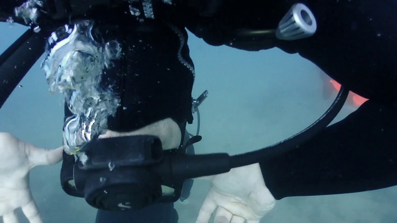 BUCEO EN EL PALMER CON CLUB CRISED DE ALMERÍA