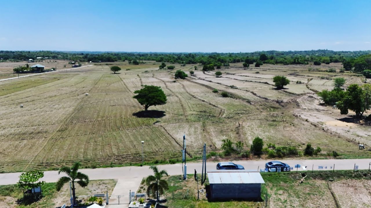 V#152 44 HECTARES LOT AREA,LOCATED AT STA.IGNACIA TARLAC @mr.excitementmixvlog