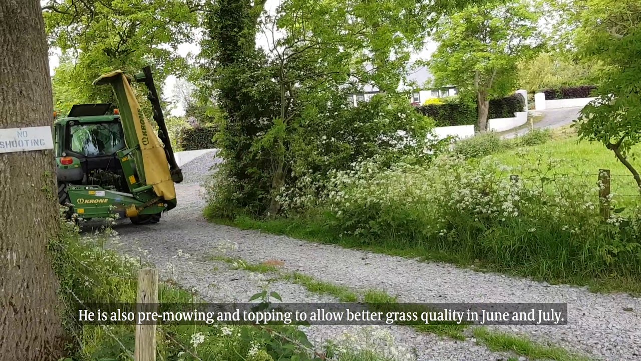 Dairylink: pre-mowing and topping in Down