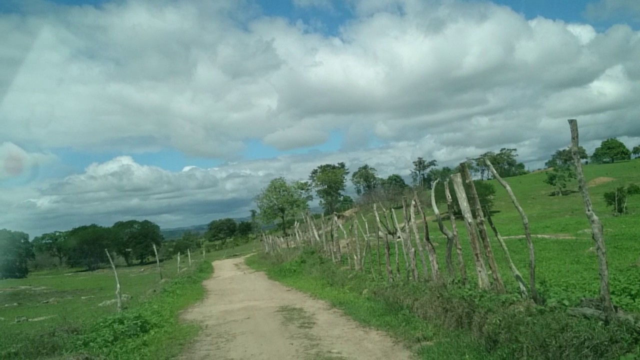 Correntes ESTADO DO PERNAMBUCO povoado poço Comprido sítio Ingazeira FAZENDA DE Pedro Cordeiro manso