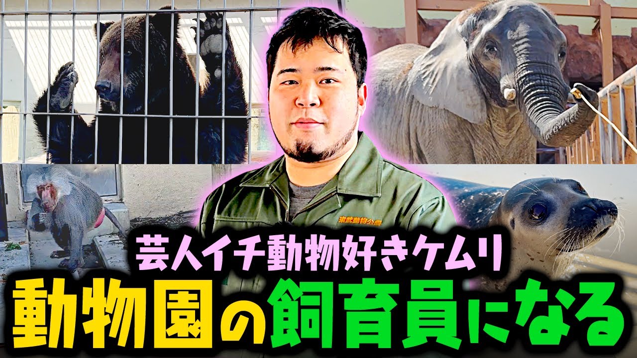 松井ケムリ、夢の動物園の飼育員になる。【令和ロマン】