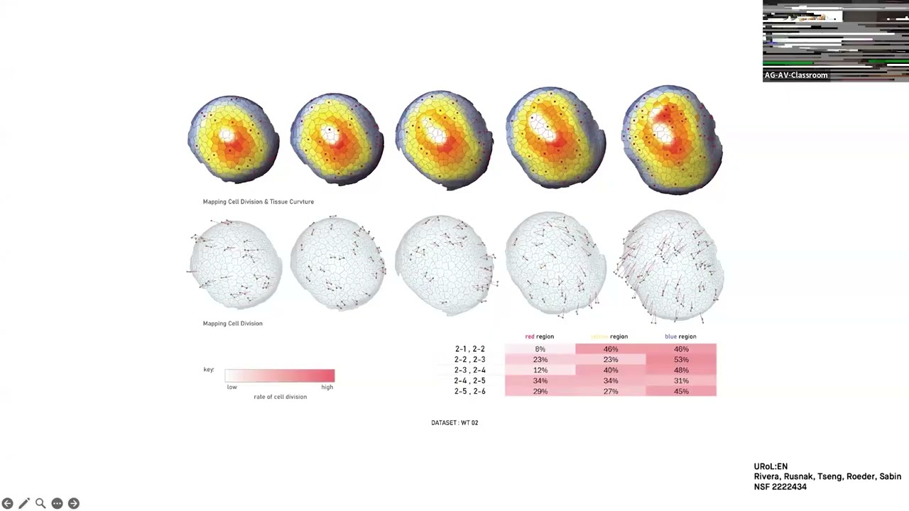 Jenny Sabin: Morphogenesis & Design: Towards Adaptive Architecture