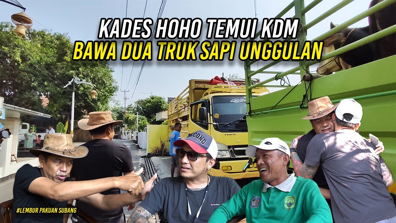 KADES HOHO TEMUI KANG DEDI MULYADI DI LEMBUR PAKUAN | BAWA DUA TRUK SAPI UNGGULAN