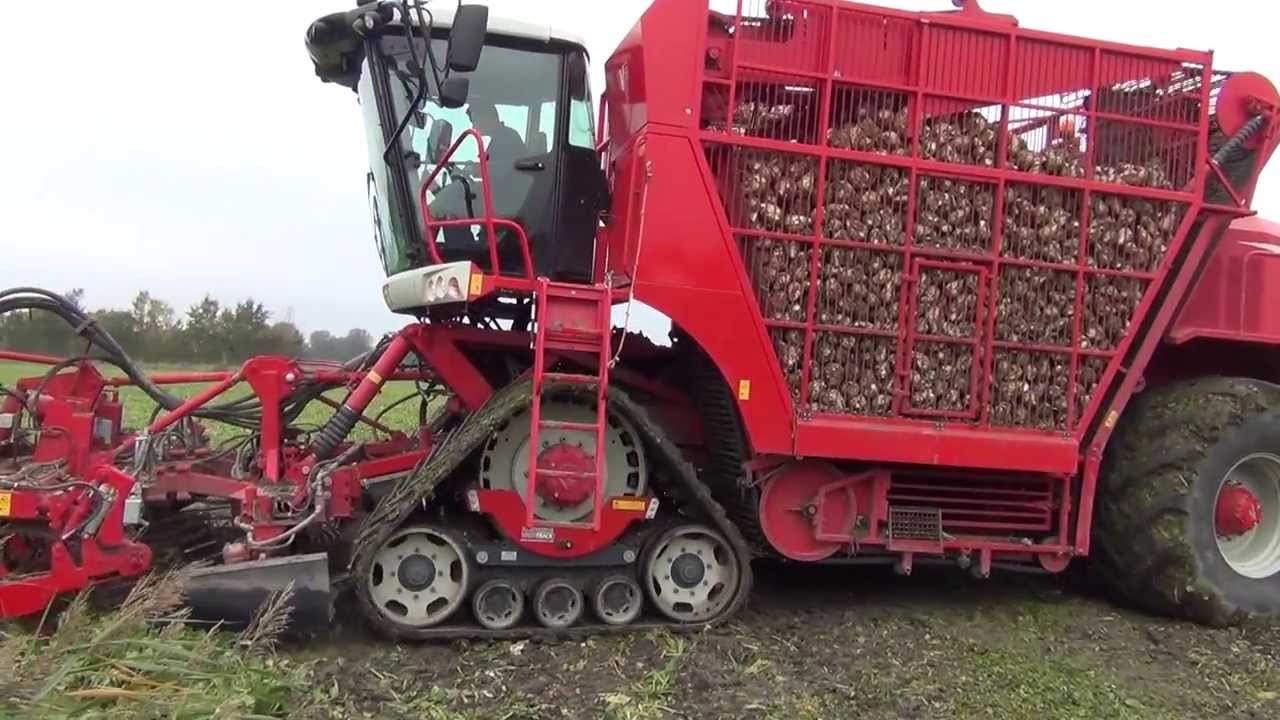 Zuidberg Tracks movie