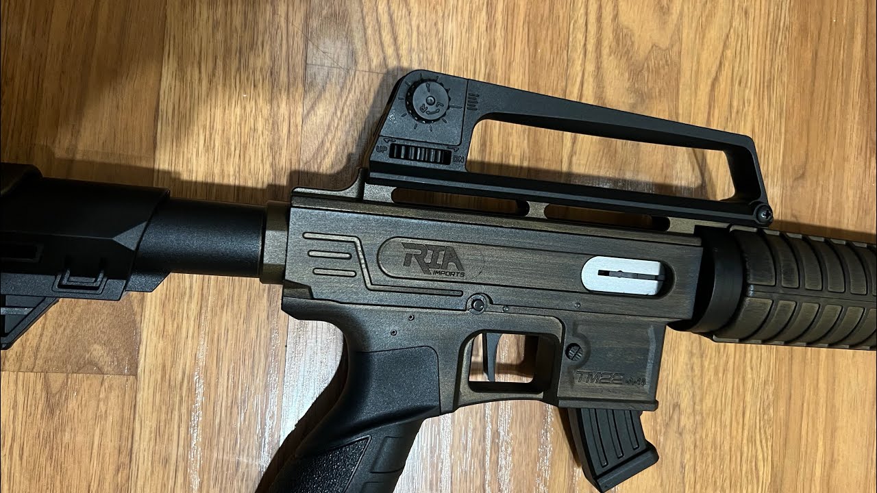 RIA TM22: Самая бюджетная, надежная и точная винтовка .22LR типа AR?!!
