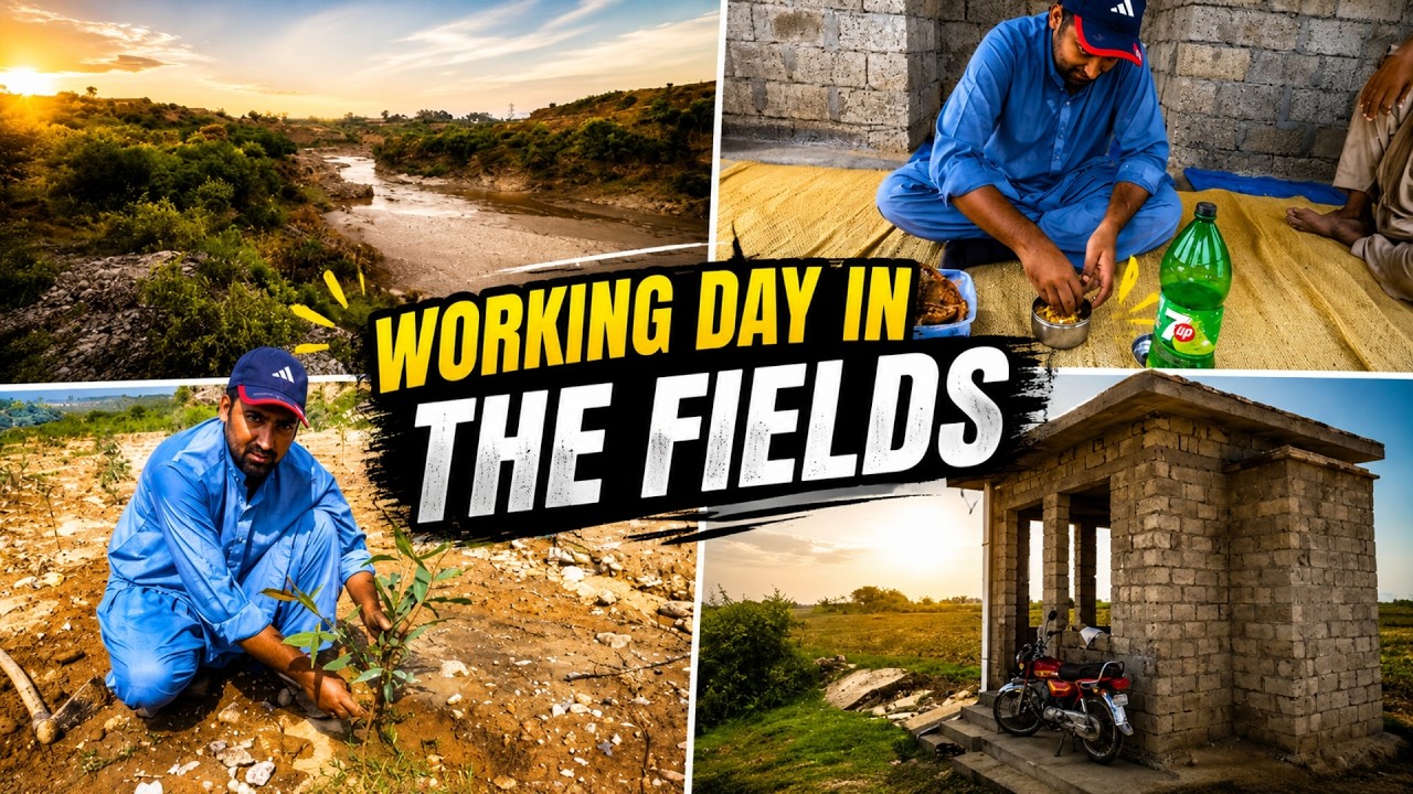 Working Day in the Fields | Rain Update at Daryae Nandana | Beautiful Masjid in the Fields 🌾🌧️🕌